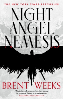 Image for Night angel nemesis