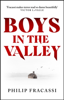 Image for Boys in the Valley