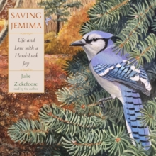 Image for Saving Jemima : Life and Love with a Hard-Luck Jay