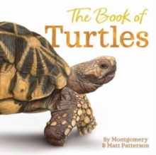 Image for The Book of Turtles