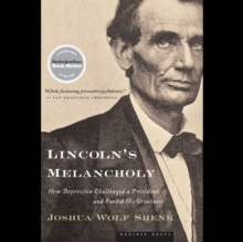 Image for Lincoln's Melancholy