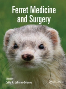 Image for Ferret Medicine and Surgery