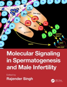 Image for Molecular signaling in spermatogenesis and male infertility