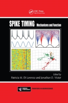 Image for Spike Timing