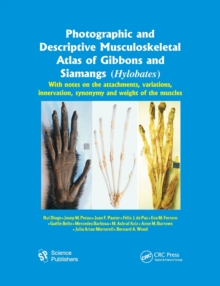 Photographic and Descriptive Musculoskeletal Atlas of Gibbons and Siamangs (Hylobates): With Notes on the Attachments, Variations, Innervation, Synonymy and Weight of the Muscles