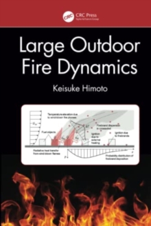 Large Outdoor Fire Dynamics