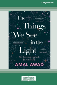Image for The Things We See in the Light [16pt Large Print Edition]