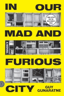 Image for In Our Mad and Furious City : A Novel