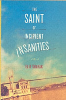 Image for The Saint of Incipient Insanities