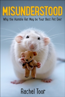 Image for Misunderstood: why the humble rat may be your best pet ever