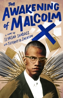 Image for The awakening of Malcolm X  : a novel