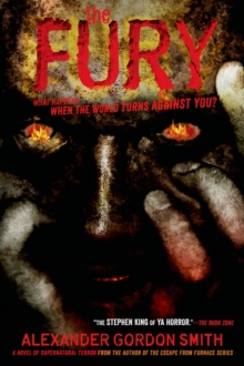 Image for The Fury
