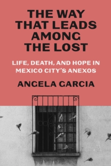 Image for The way that leads among the lost  : life, death, and hope in Mexico City's anexos