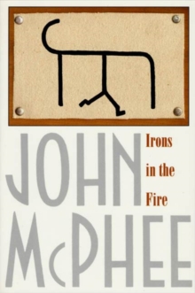 Image for Irons in the Fire