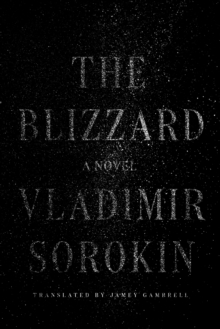 Image for The blizzard: a novel