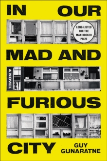 Image for In Our Mad and Furious City: A Novel