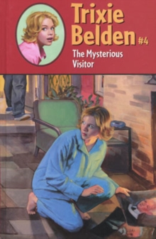 Image for The Mysterious Visitor