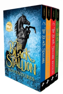 Image for The Black Stallion Adventures