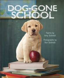 Image for Dog-Gone School