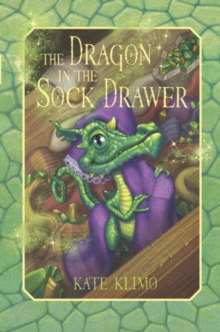 Image for The dragon in the sock drawer