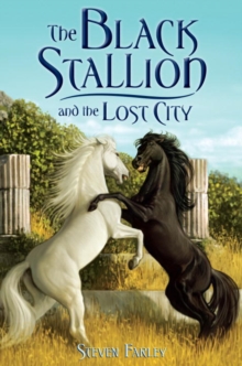 Image for The Black Stallion and the lost city