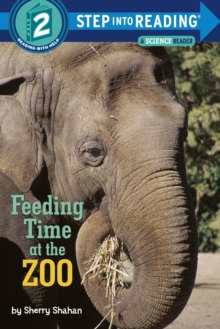 Feeding Time at the Zoo