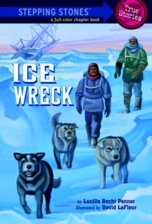 Image for Ice Wreck