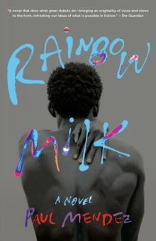 Image for Rainbow Milk: A Novel