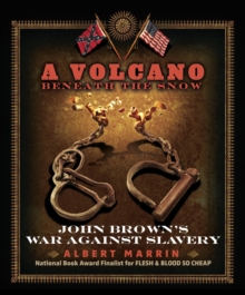 Image for A volcano beneath the snow: John Brown's war against slavery