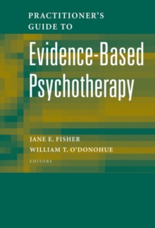 Image for Practitioner's guide to evidence based psychotherapy