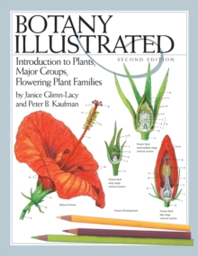 Image for Botany Illustrated : Introduction to Plants, Major Groups, Flowering Plant Families