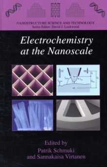 Image for Electrochemistry at the Nanoscale
