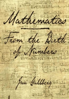 Image for Mathematics : From the Birth of Numbers