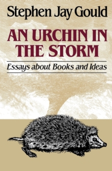 Image for An Urchin in the Storm