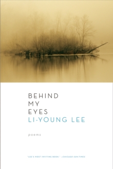 Behind My Eyes