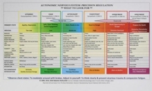 Image for Autonomic Nervous System Table: Laminated Card