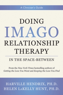 Image for Doing Imago Relationship Therapy in the Space-Between: A Clinician's Guide