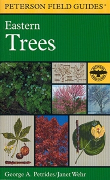 Image for Peterson Field Guide To Eastern Trees, A