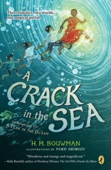Image for Crack in the Sea