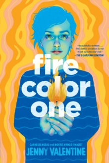 Image for Fire Color One