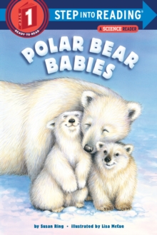 Image for Polar bear babies