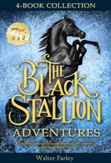 Image for Black Stallion Adventures