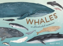 Whales: An Illustrated Celebration