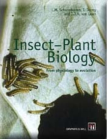 Image for Insect-plant biology