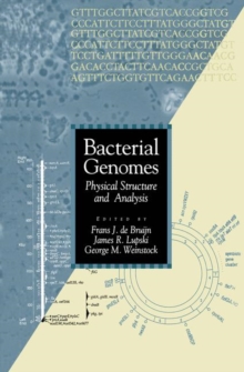 Image for Bacterial genomes  : physical structure and analysis