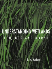 Image for Understanding Wetlands