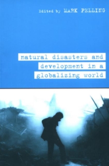 Image for Natural Disaster and Development in a Globalizing World