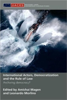 Image for International Actors, Democratization and the Rule of Law