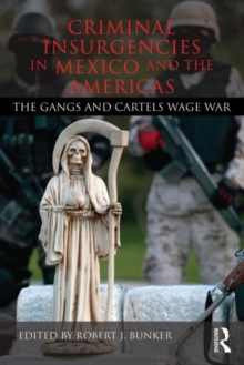 Image for Criminal Insurgencies in Mexico and the Americas