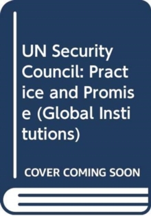 UN Security Council